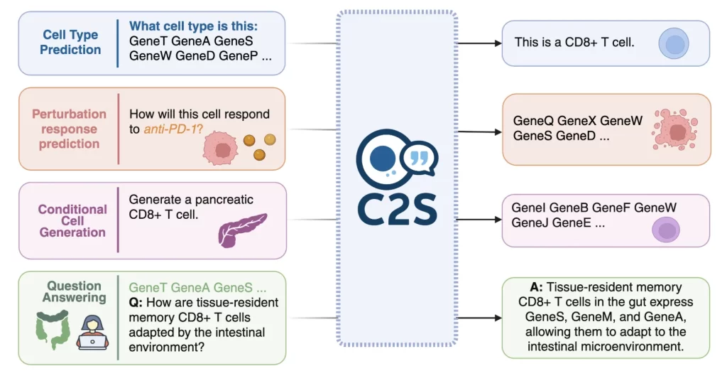 Google AI Releases C2S-Scale 27B Model that Translate Complex…
