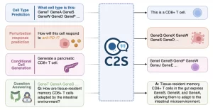 Google AI Releases C2S-Scale 27B Model that Translate Complex…