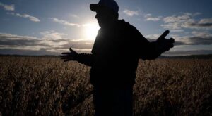 China tit-for-tat tariffs bite into soybean farmers’ sales — here’s how the ripple effect could hurt you